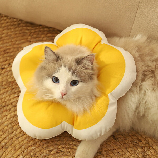 楽天市場】エリザベスカラー パープル ピンク イエローお花 紫 黄色 XS