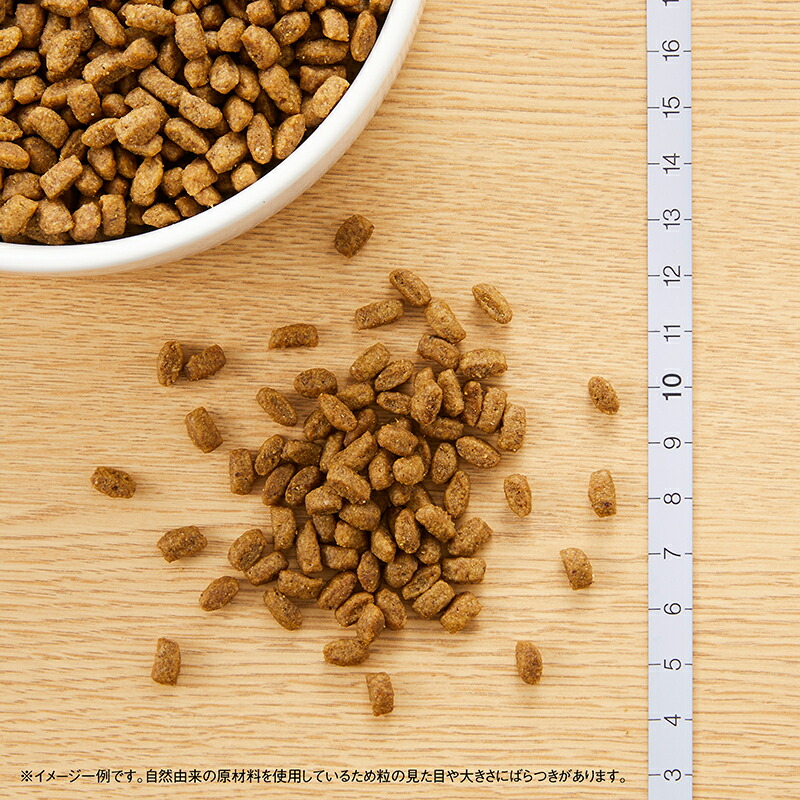 楽天市場】【最安値挑戦！】ニュートロ シュプレモ 子犬用 小粒 3kg