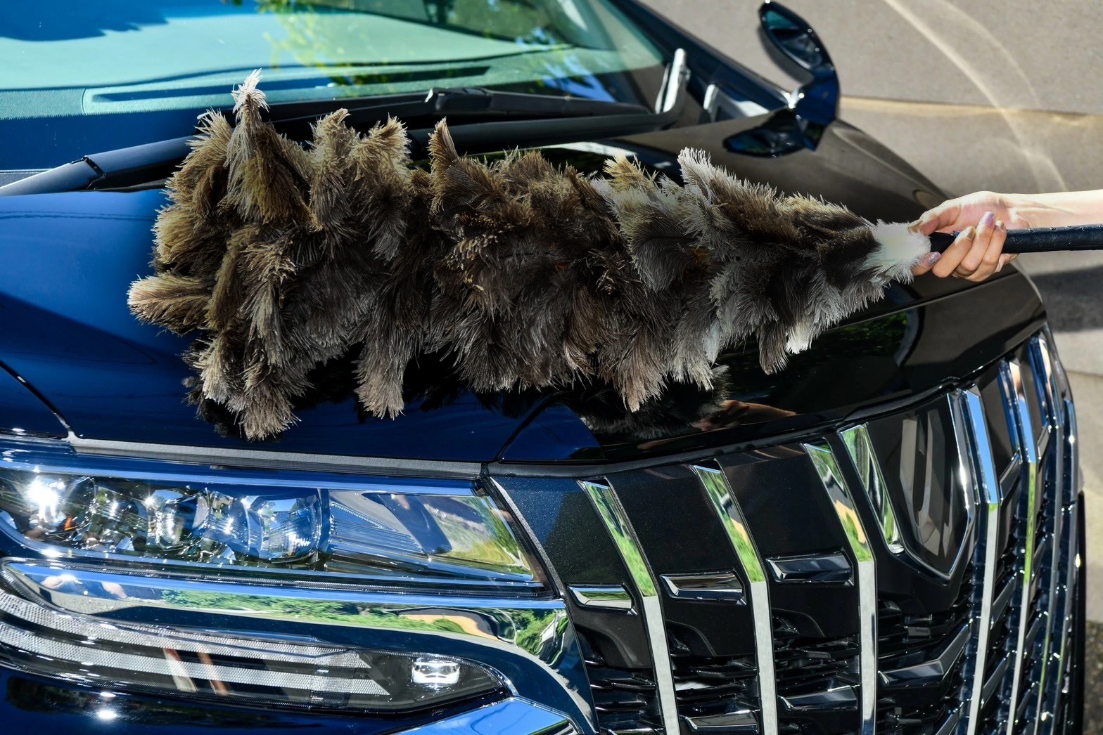 楽天市場】【最高品質】 毛ばたき 車用 車 毛バタキ オーストリッチ