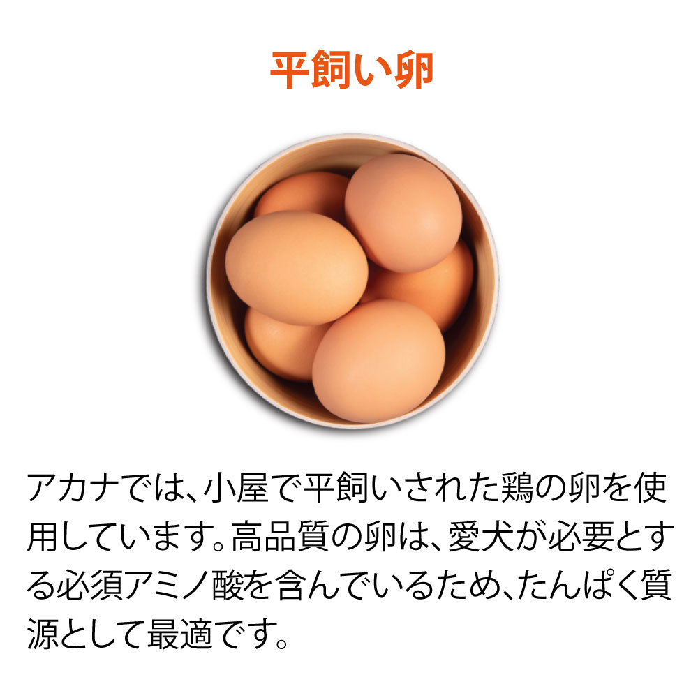 楽天市場】＼最大10％OFFクーポン！3/1 23:59まで／アカナ シニア