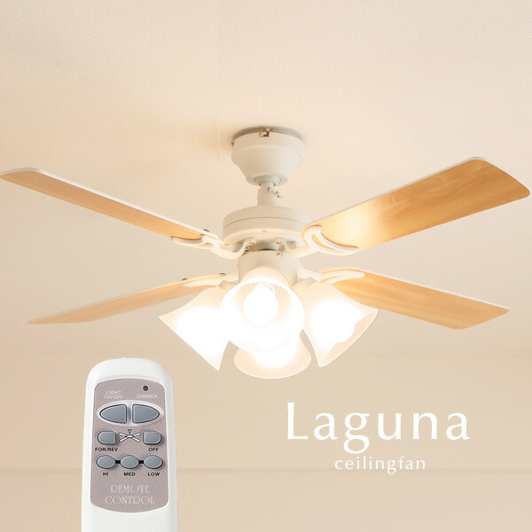 laguna_wh1.jpg