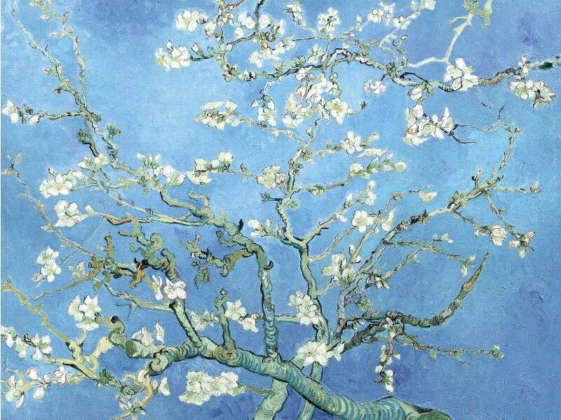 楽天市場】額絵 ゴッホ 【花咲くアーモンドの木の枝】 G4-BM054