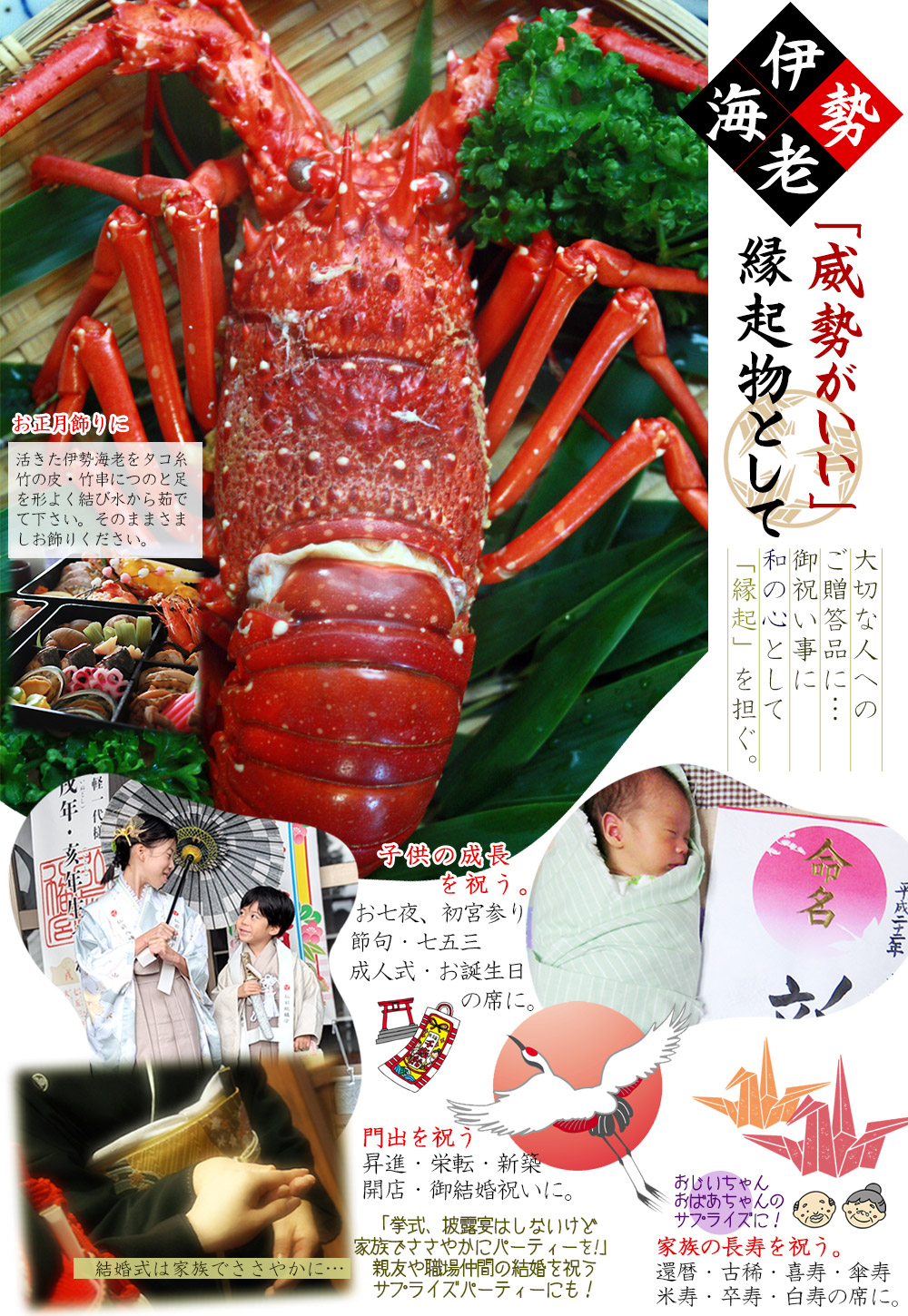 楽天市場】エントリーでポイント5倍 新鮮活きたままお届け 【伊勢海老