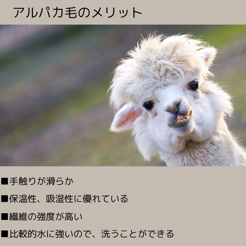 楽天市場】【南米産】アルパカ ウールブランケット キャンプ