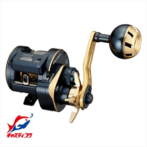 ダイワ ソルティガ IC 100L (リール) 価格比較 - 価格.com