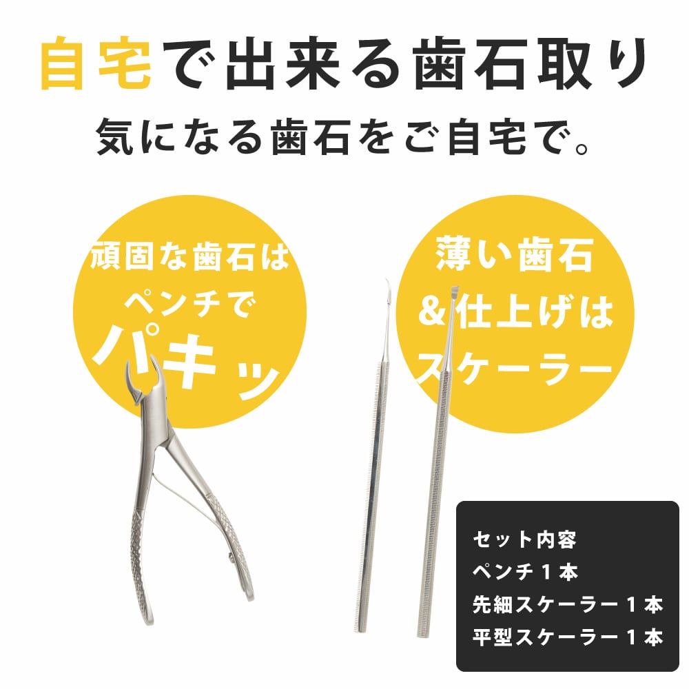 楽天市場】【ポイント5倍】愛犬・愛猫歯石取りペンチとスケーラー