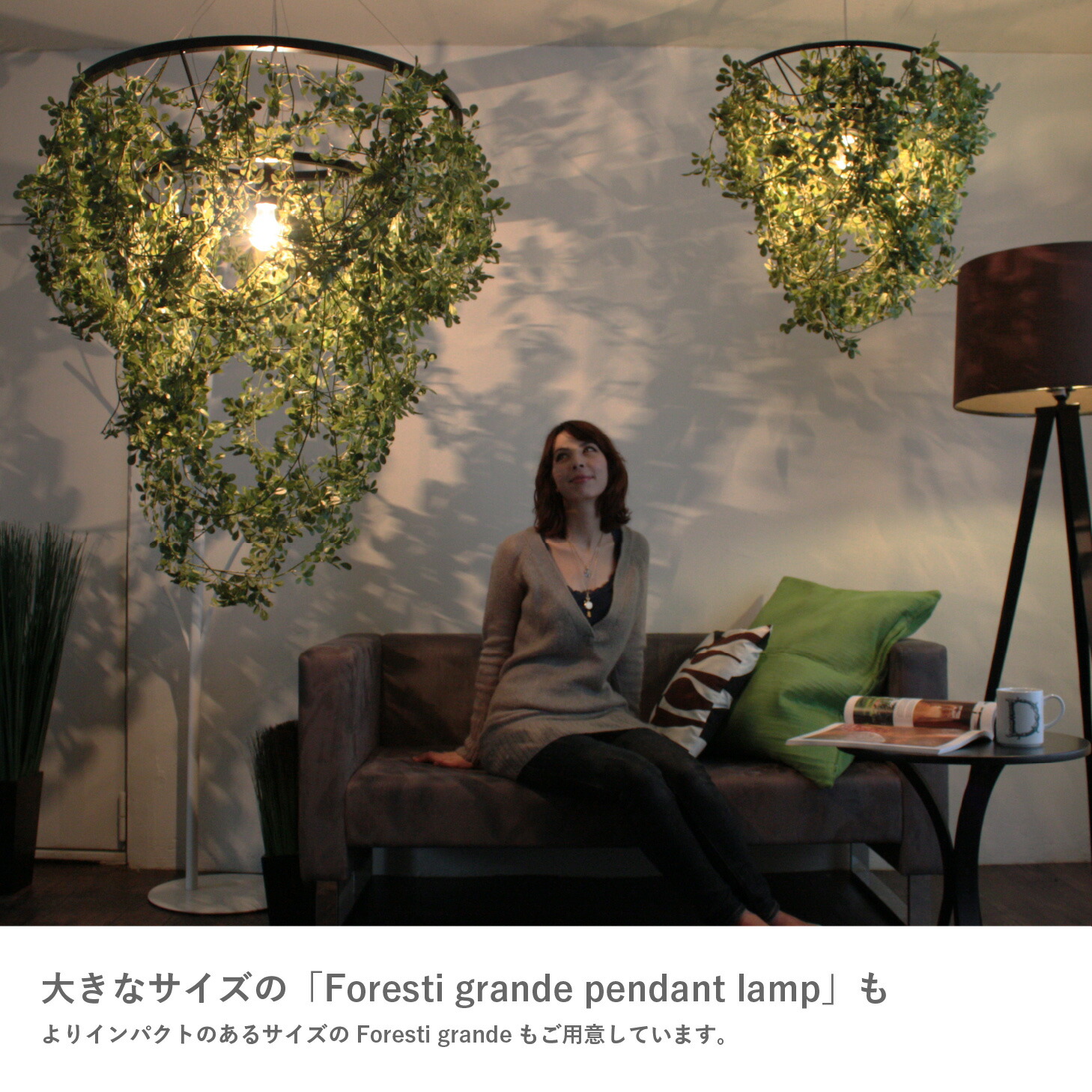 楽天市場】ペンダントライト ディクラッセ 公式 フォレスティ