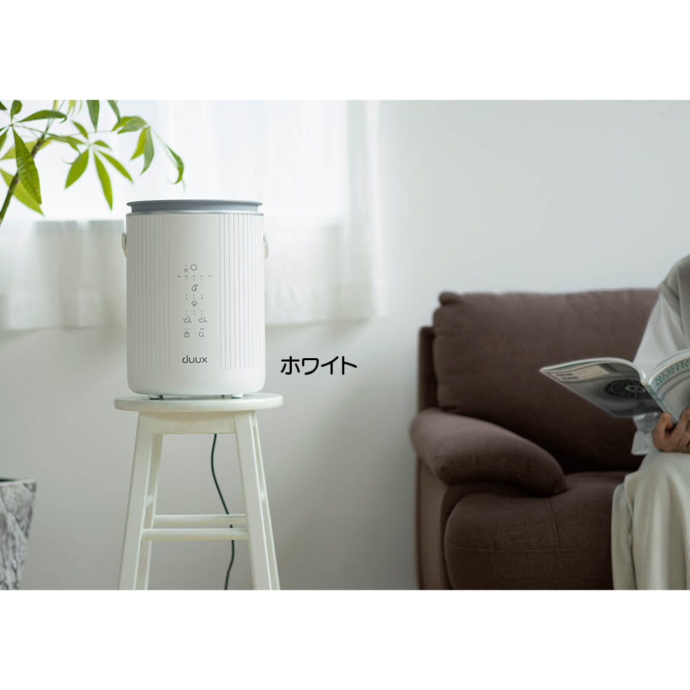 楽天市場】【クーポン配布中 3／1迄】 DUUX（デュクス） スチーム式