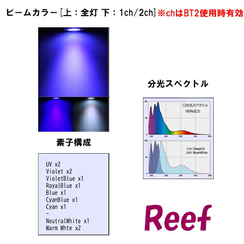 楽天市場】ボルクスジャパン グラッシーレディオ RX122s リーフ