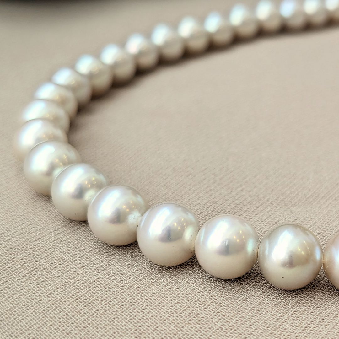 楽天市場】シルバー アコヤ パール 7-7.5mm ネックレスあこや真珠 本