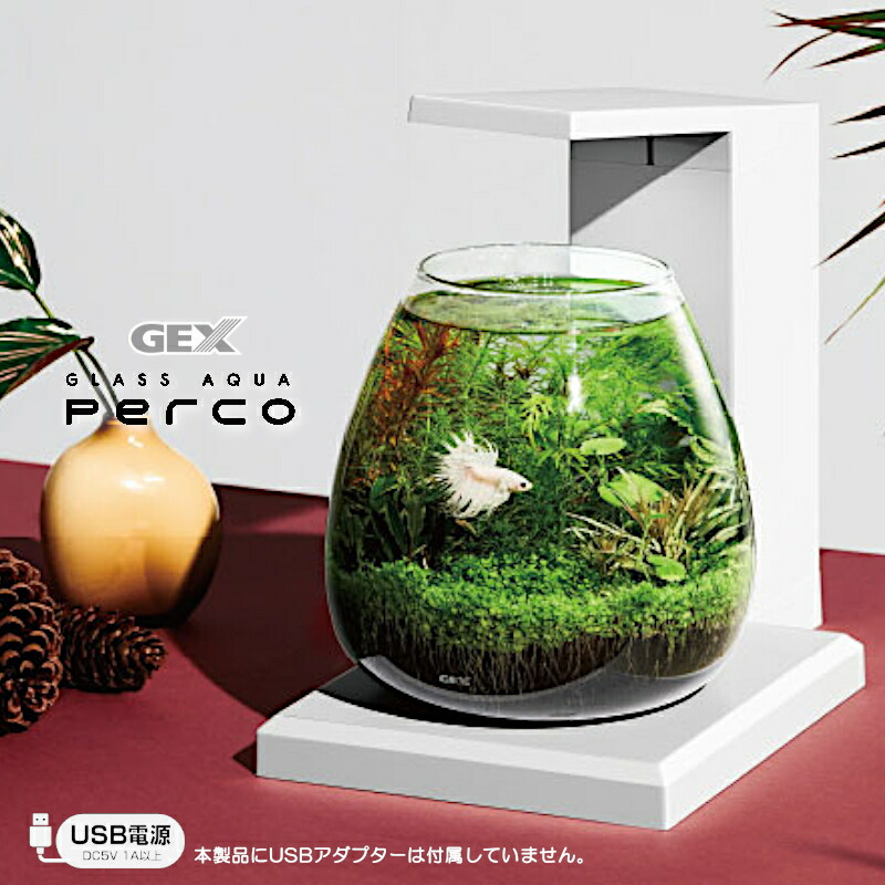 楽天市場】【水槽セット】熱帯魚 水槽セット グラスアクア PERCO T-WH