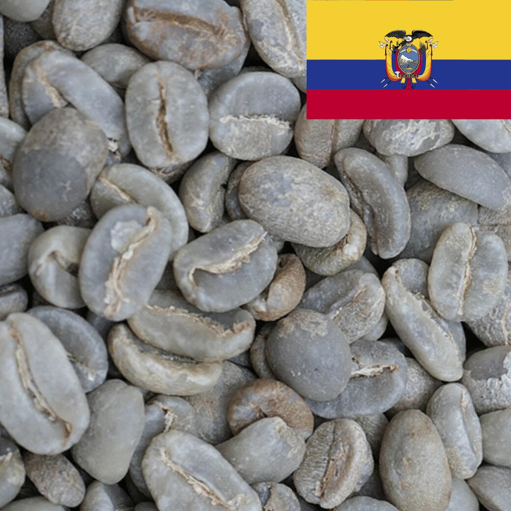 楽天市場】DRIP TRIP コーヒー 生豆 コロンビア ナリーニョ カツアイ