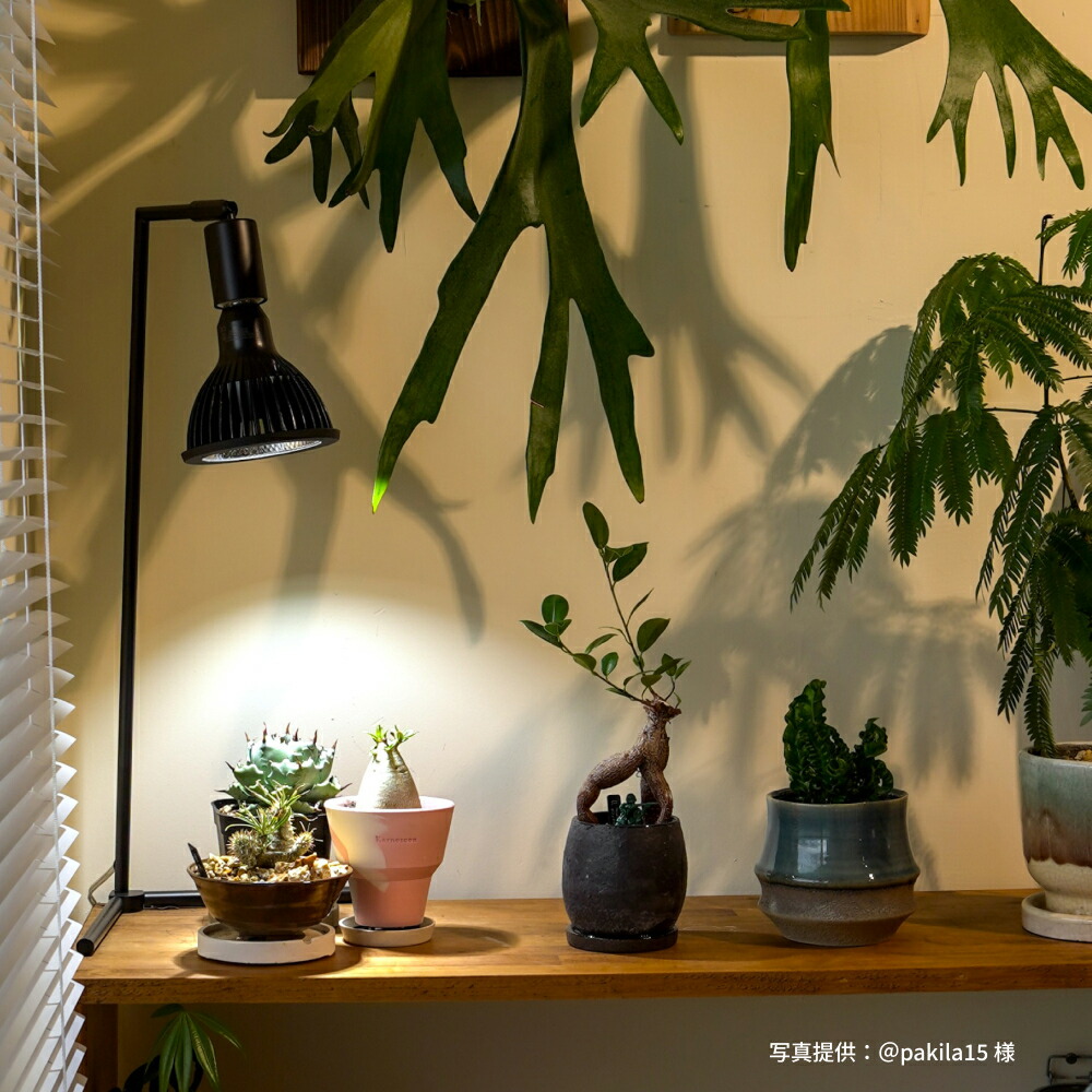 楽天市場】【3年保証】BARREL公式 植物育成LED ライト 【NEO AMATERAS