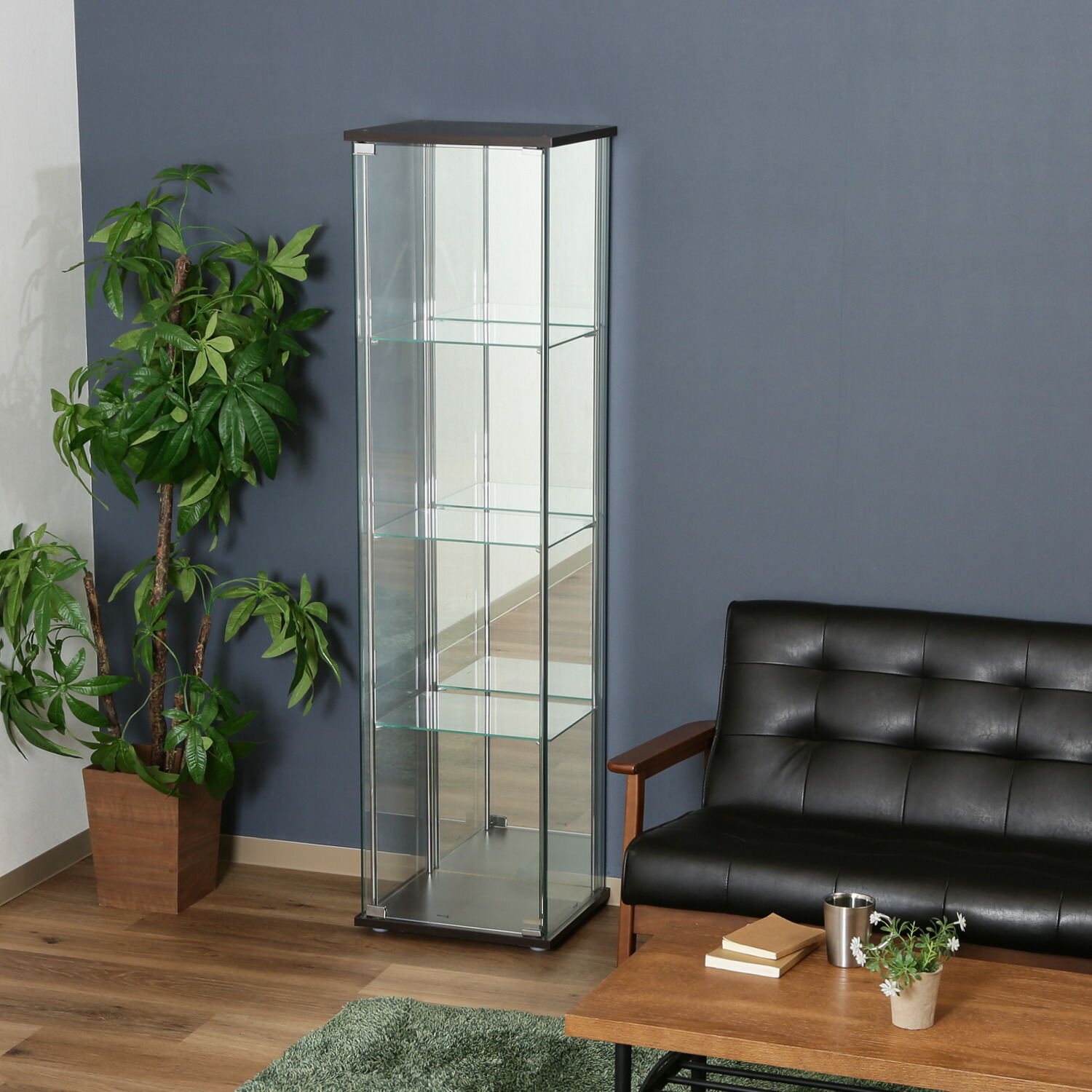 楽天市場】ガラスコレクションケース 4段 96046 4段 背面ミラー 不二