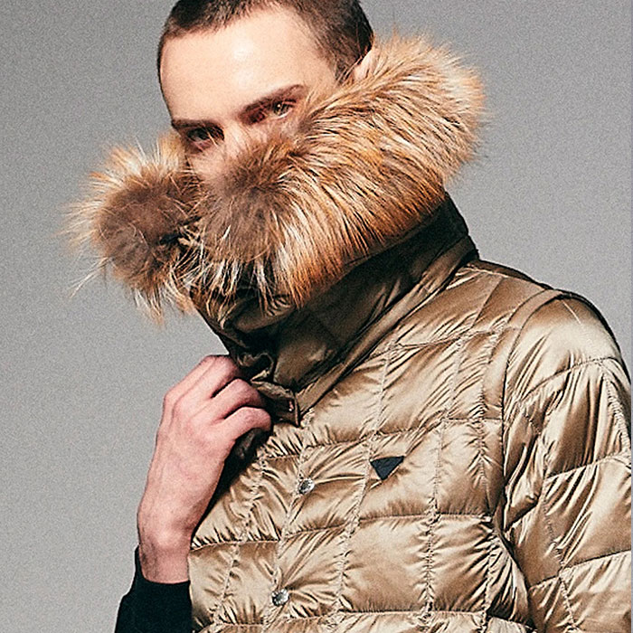 楽天市場】【SALE】TAION EXTRA タイオン エクストラ EXTRA FUR 脱着用