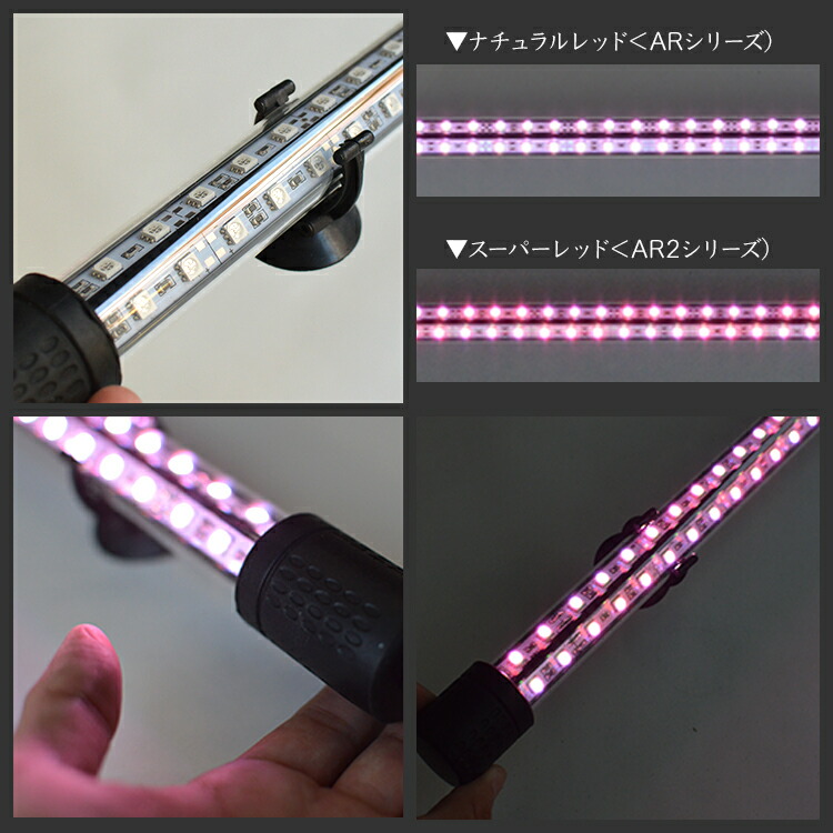 楽天市場】紅龍 水中 スーパーレッド アロワナ ライト LED 水中照明