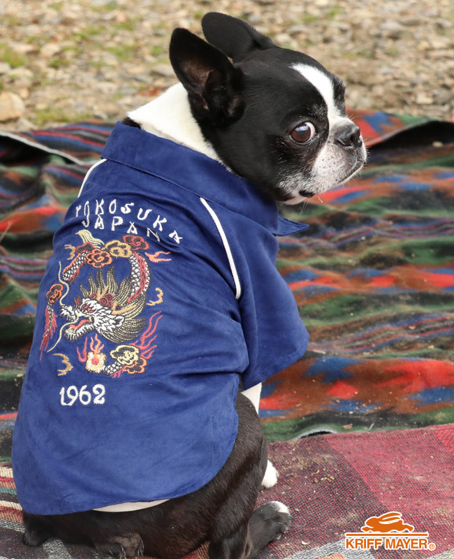 楽天市場】【ブランド直営】 スーベニア 刺繍 ジャケットDOG ドッグ