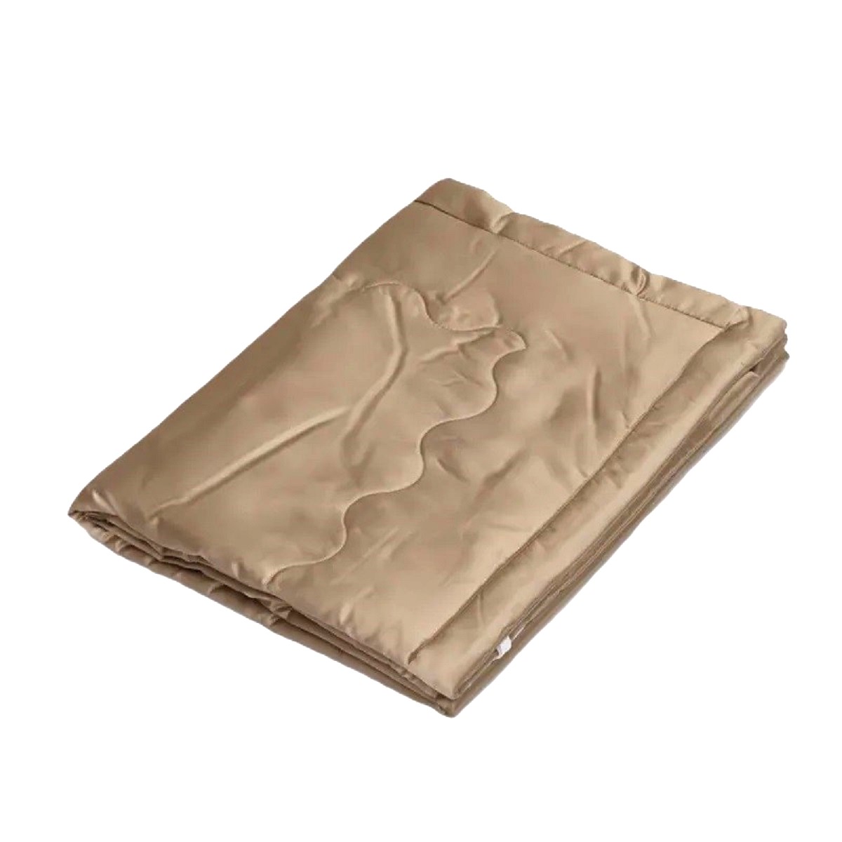 楽天市場】西川 真綿 ひざ掛け 70×110cm ウオッシャブル AE1280