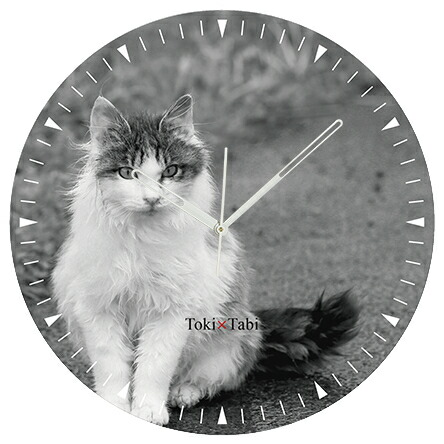 楽天市場】A+ (アクセントプラス) Toki×Tabi 大型掛け時計 60cm 猫の島