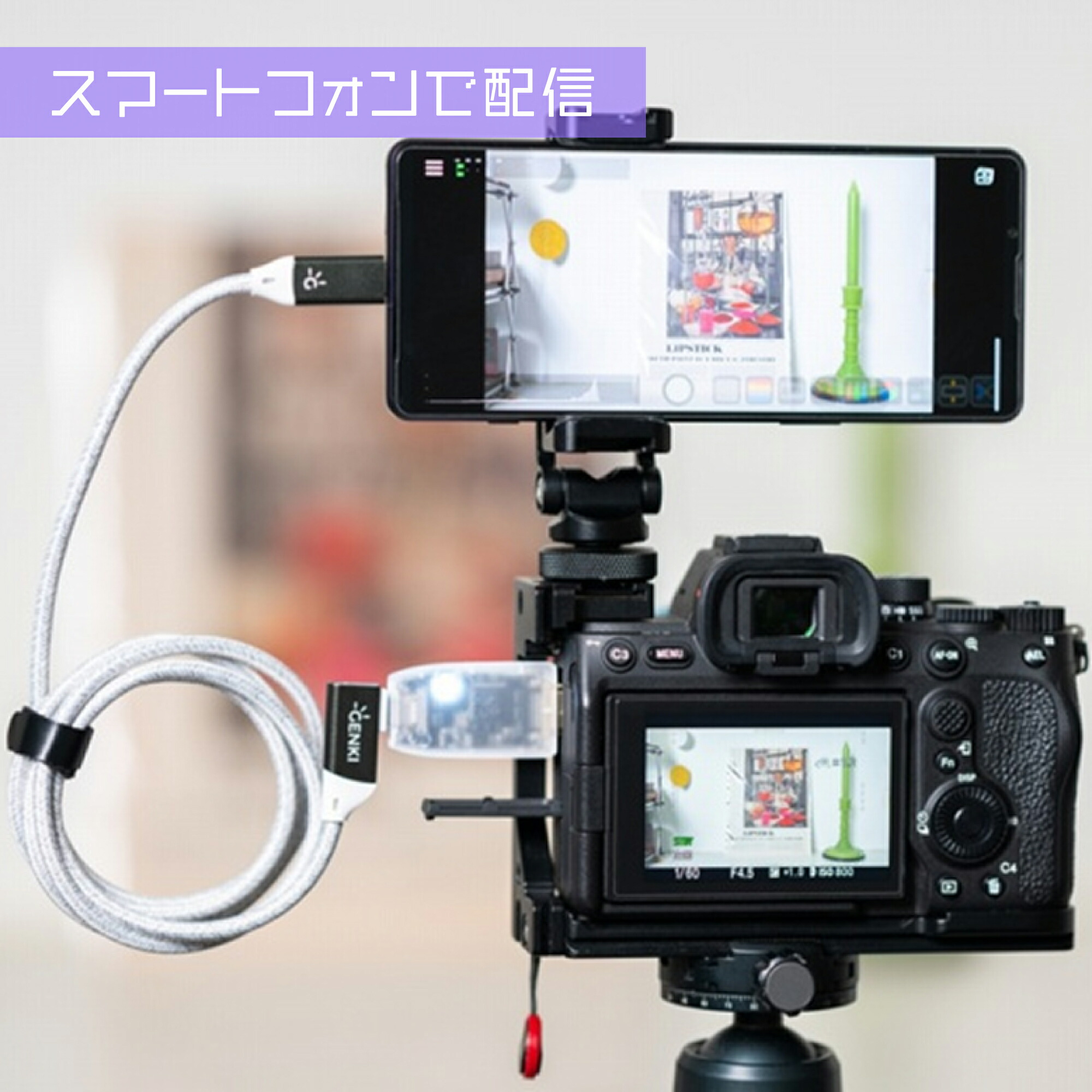 楽天市場】【正規販売店】 Genki Shadow Cast2 キャプチャーボード