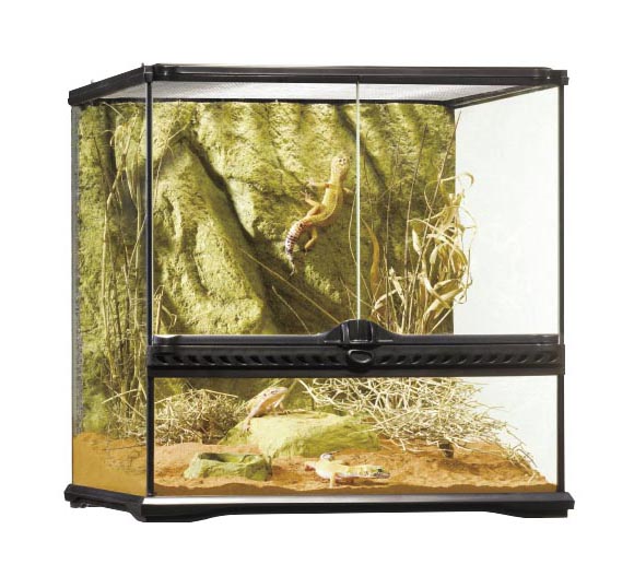 楽天市場】グラステラリウム 4530の通販