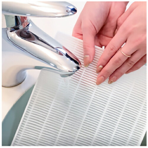 楽天市場】【 交換用フィルター1枚付属 】 シャレドワ SHAREYDVA