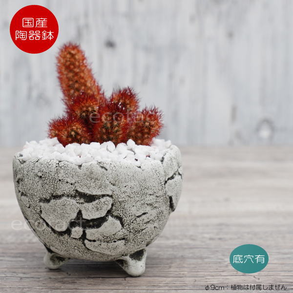 楽天市場】陶器鉢 植木鉢 ミニポット 底穴あり BUNGA POT エッグ（SS