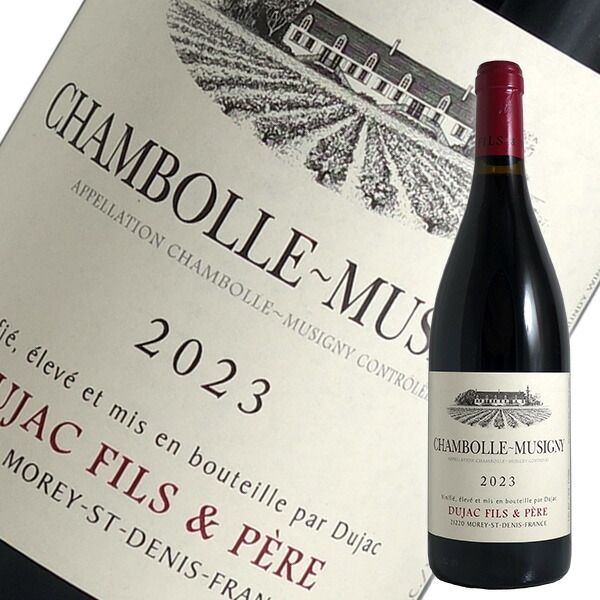 楽天市場】シャンボール ミュジニー グランクリュの通販