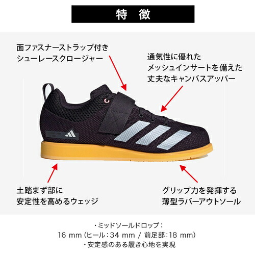 今夜のみ adidas アディパワー 27.5 SBD golds gym 今夜のみ adidas