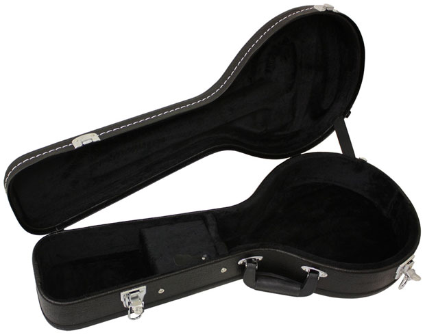 楽天市場】ARIA アリア CG-100M フラットマンドリン用ハードケース