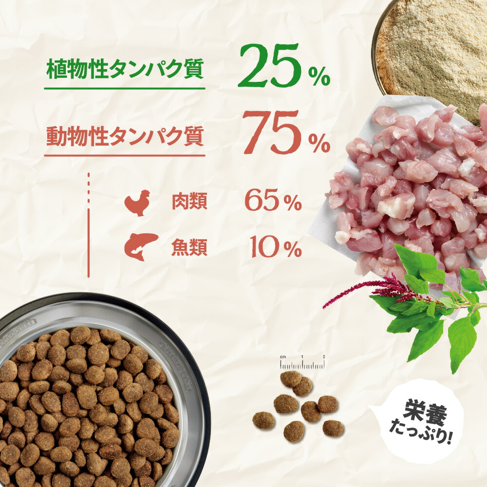 楽天市場】☆BELCANDO ベルカンド アダルト チキン＆フィッシュ