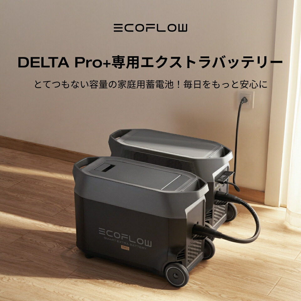 楽天市場】EcoFlow ポータブル電源セット DELTA Pro 3600Wh +専用