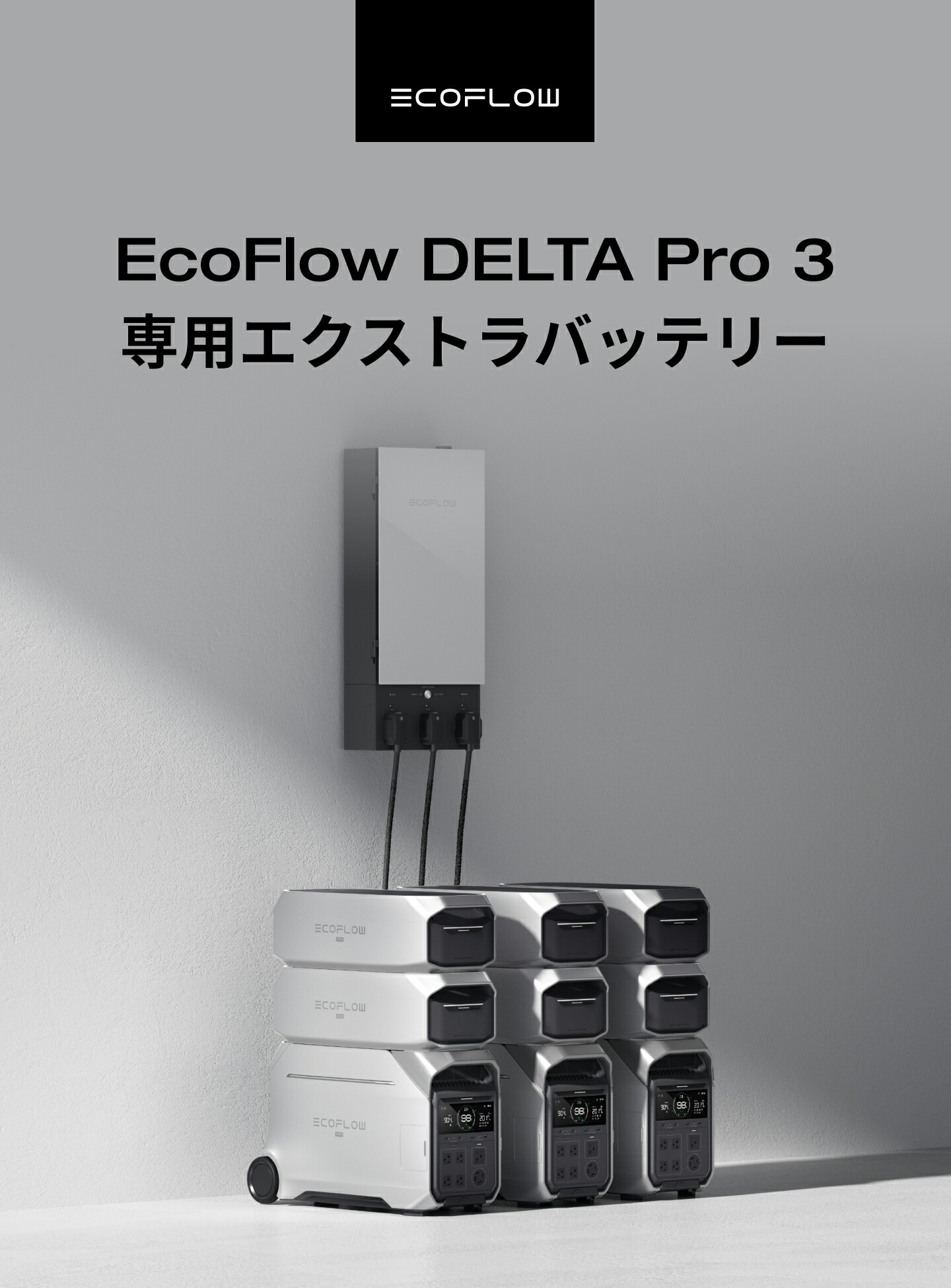 楽天市場】【クーポン利用で217,800円☆2/28~特別セール】EcoFlow