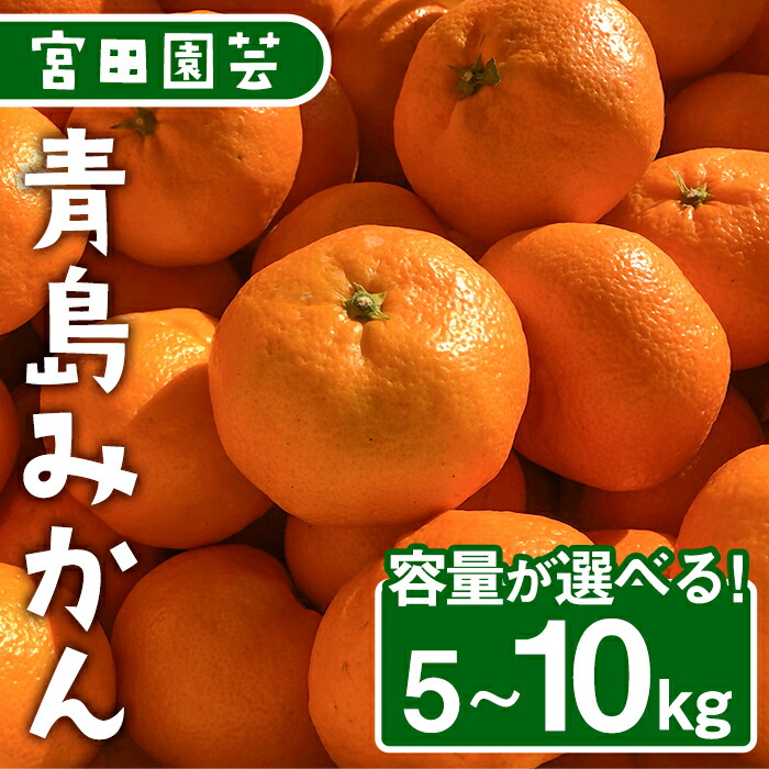 楽天市場】【ふるさと納税】＜内容量が選べる！＞青島みかん(5～10kg