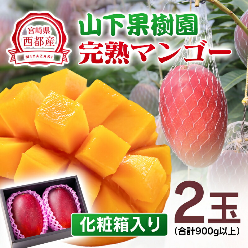楽天市場】【ふるさと納税】山下果樹園 完熟マンゴー「2玉」 900g以上