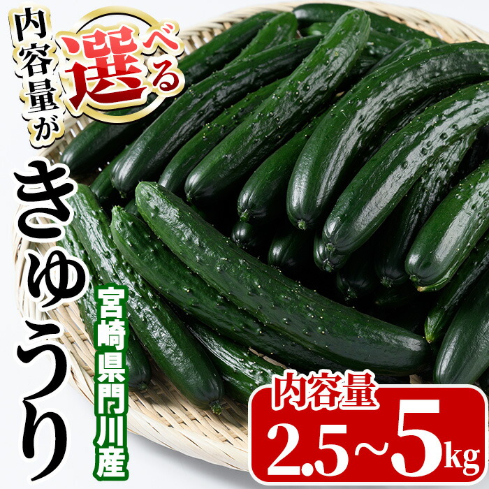 楽天市場】【ふるさと納税】＜内容量が選べる！＞宮崎県産きゅうり(2.5