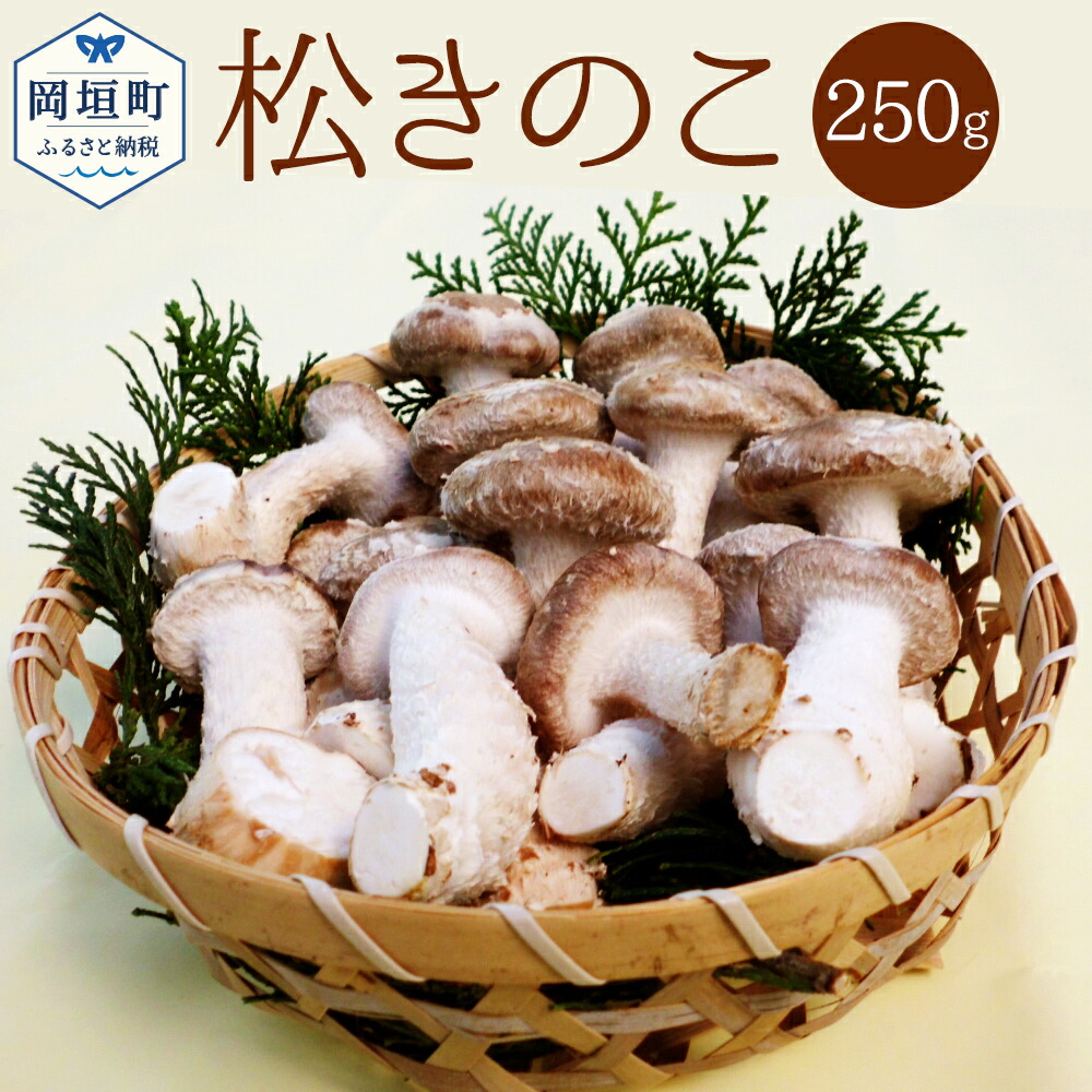 楽天市場】【ふるさと納税】 松きのこ 250g 冷蔵 岡垣町産 まつきのこ