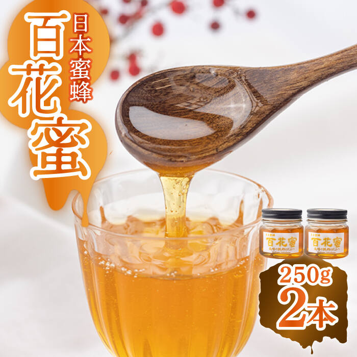 楽天市場】【ふるさと納税】【長崎の純粋はちみつ】日本蜜蜂 百花蜜