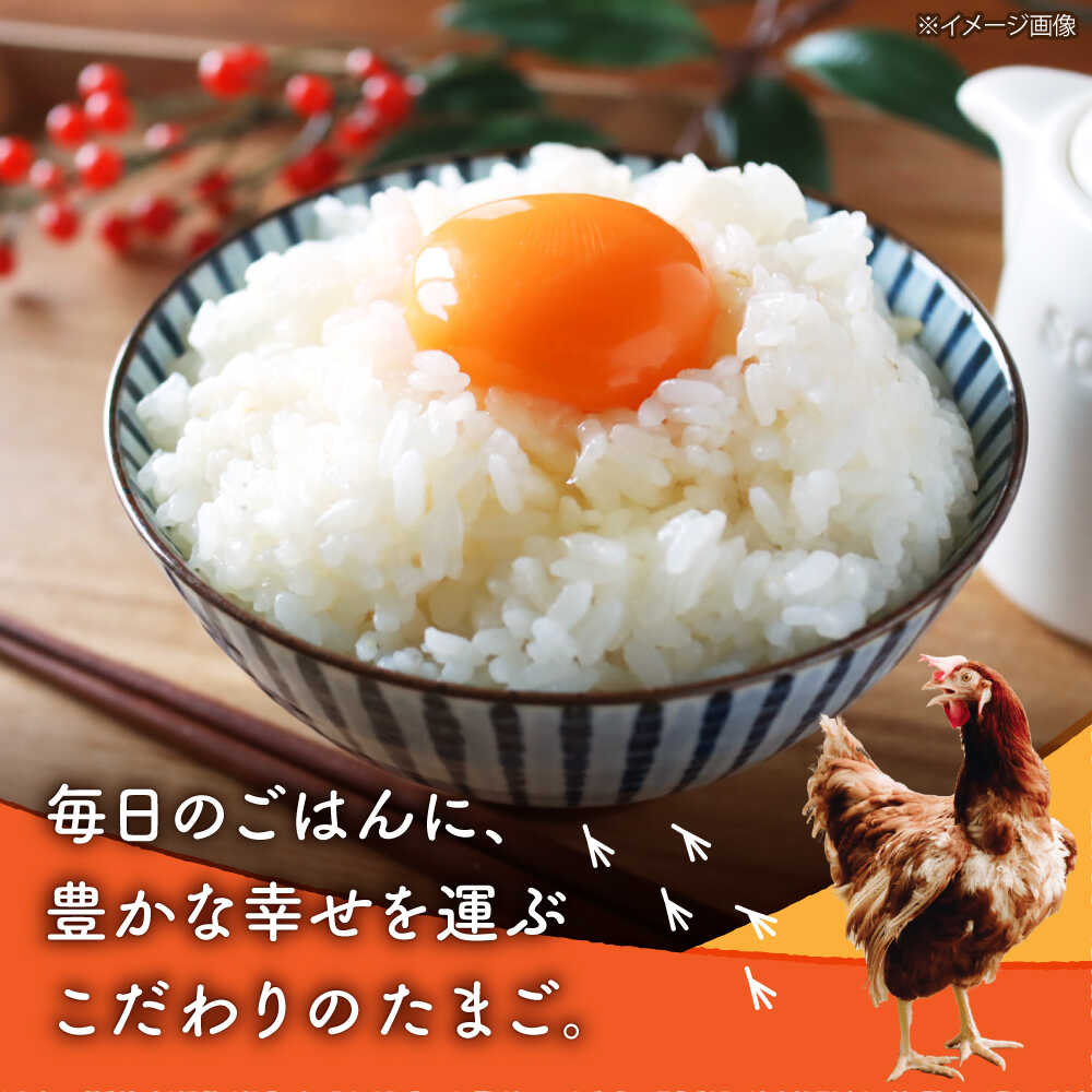 楽天市場】【ふるさと納税】【全12回定期便】白たまご M玉 90個（85個