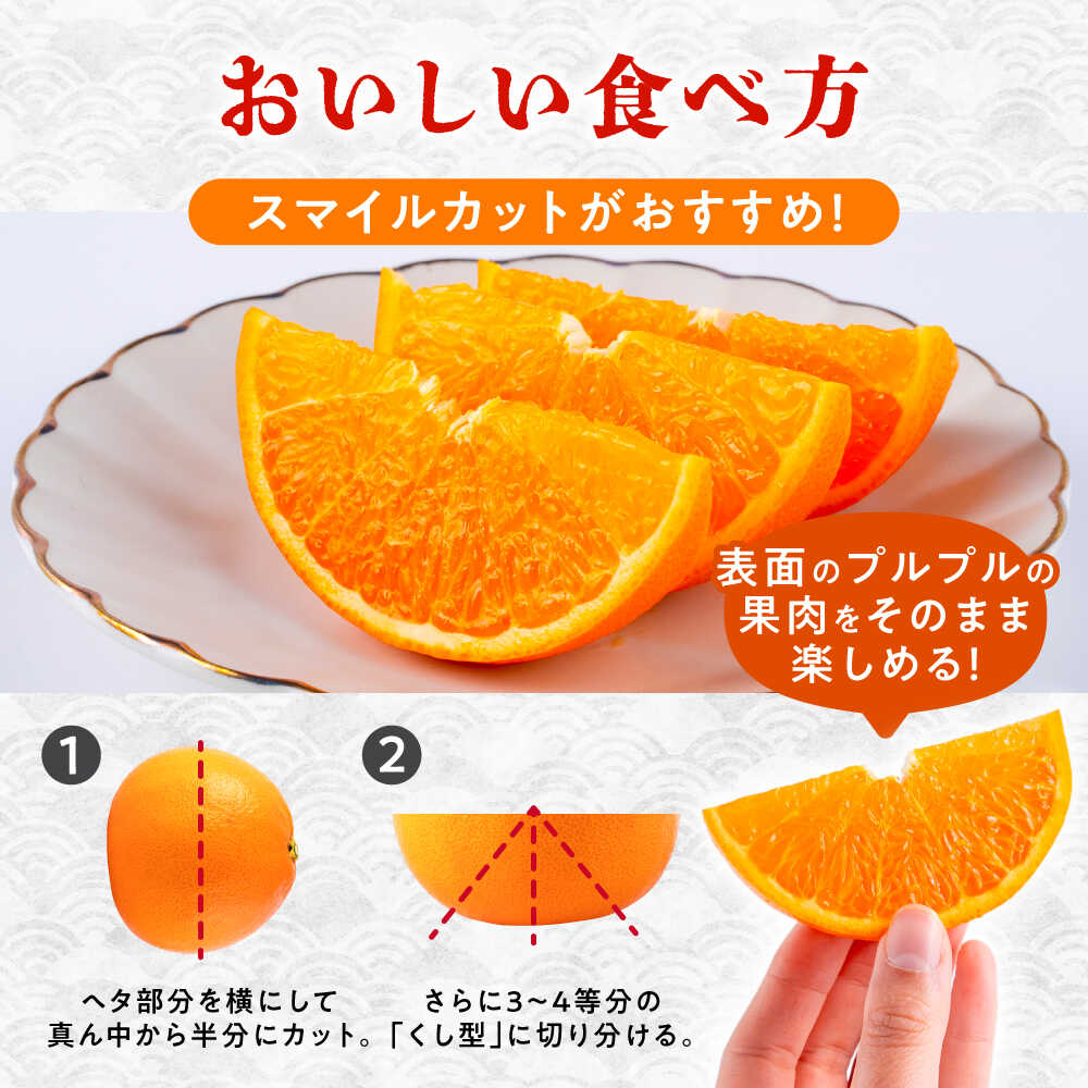 楽天市場】【ふるさと納税】【2026年2月下旬から発送】 みかん ミカン