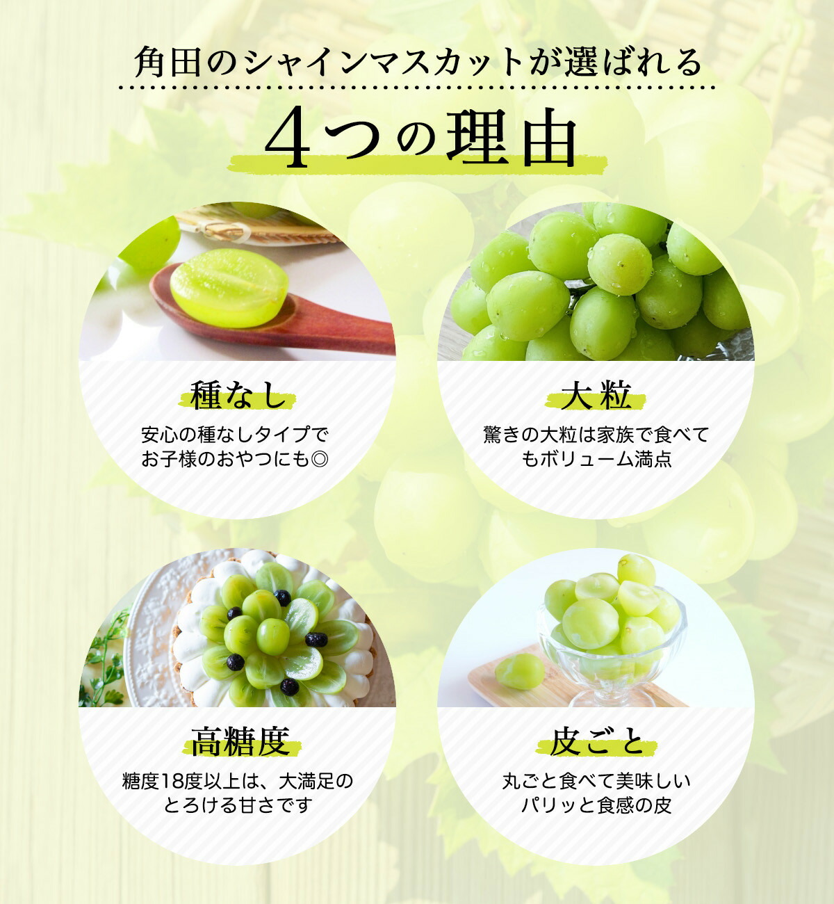 楽天市場】【ふるさと納税】【2026年発送分先行予約】シャイン