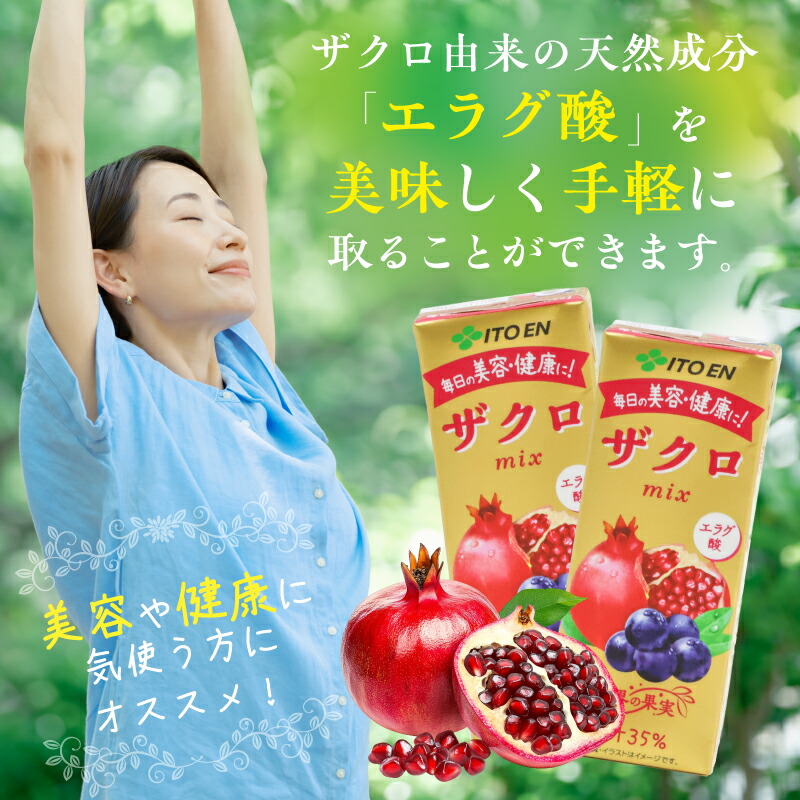 楽天市場】【ふるさと納税】【10営業日以内発送】伊藤園 ザクロmix 紙