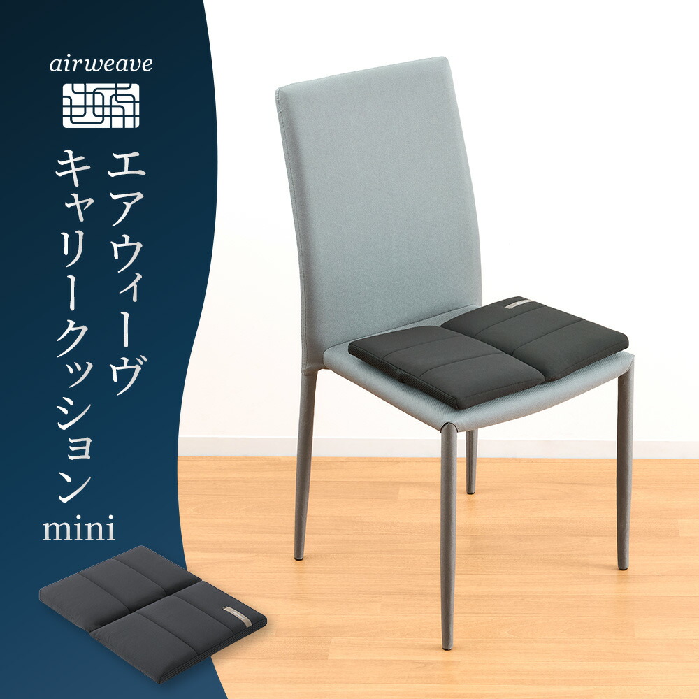 楽天市場】【ふるさと納税】エアウィーヴ キャリークッションmini