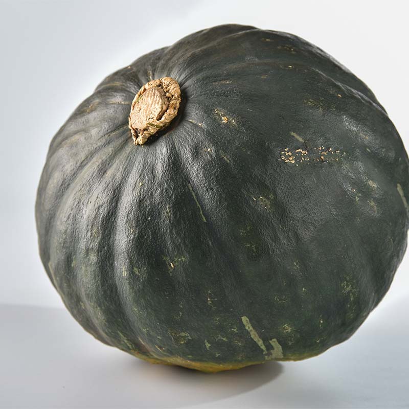 楽天市場】【ふるさと納税】【先行予約】かぼちゃ（ケント）10kg（5～7