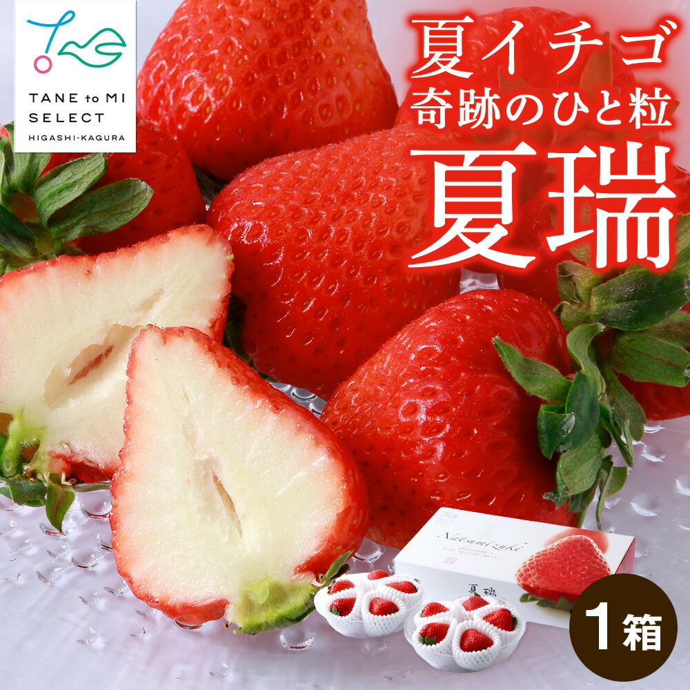 楽天市場】【ふるさと納税】2026年発送☆【夏イチゴ】奇跡のひと粒「夏