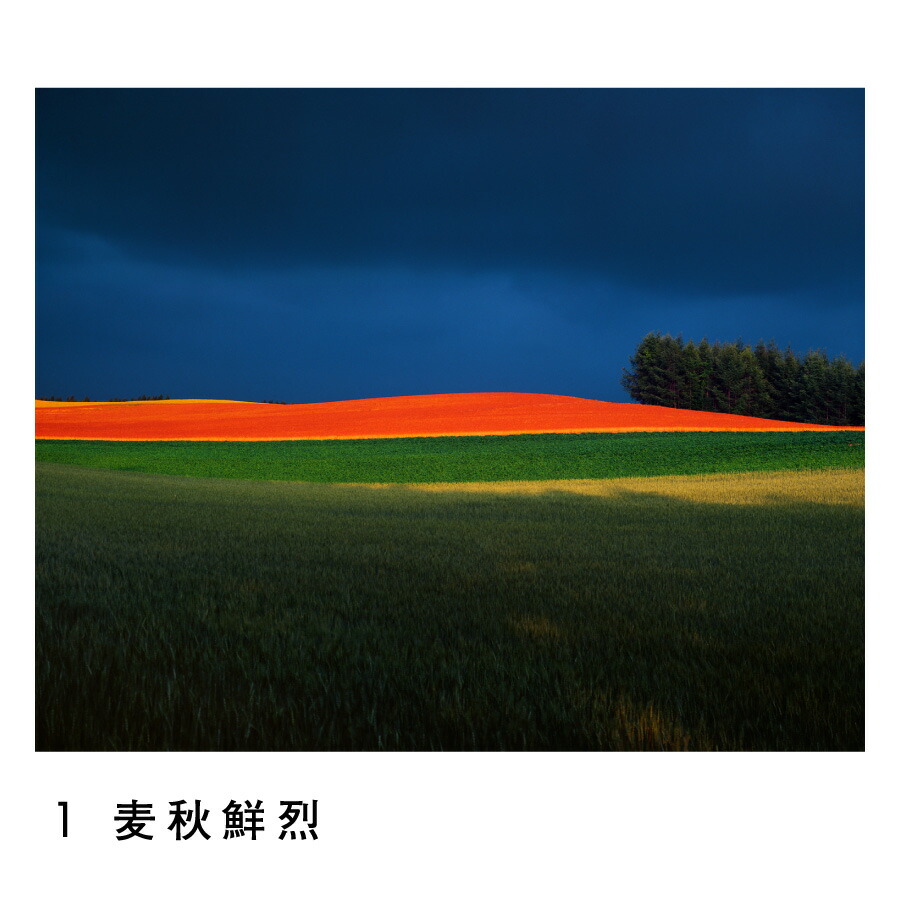 楽天市場】【ふるさと納税】前田真三 額付き写真（白木額） キャビネ