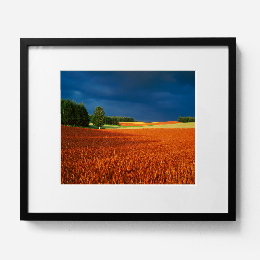 楽天市場】【ふるさと納税】前田真三 額付き写真（黒額） 六切サイズ