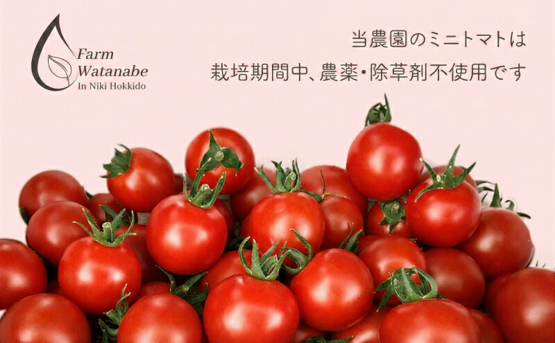 北海道 ミニトマトジュース「カナンの丘の滴」1000ml 6本セット 【公式