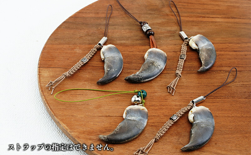 楽天市場】【ふるさと納税】北海道枝幸産 ヒグマの爪ストラップ 4.5cm