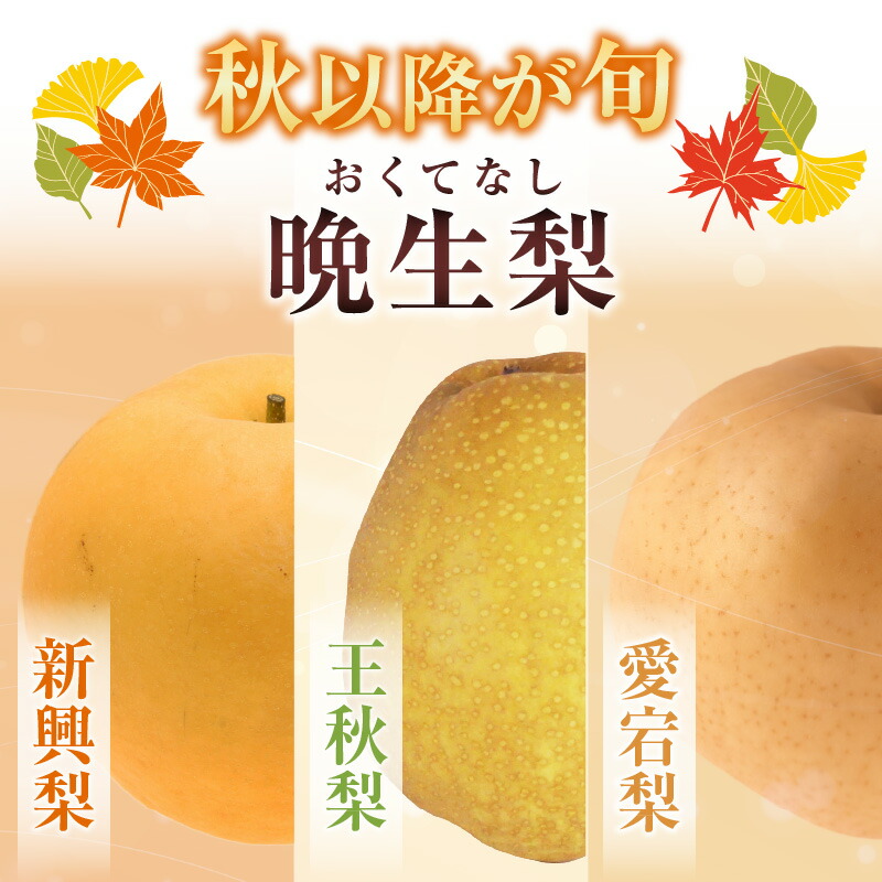 楽天市場】【ふるさと納税】【先行予約】2026年度産 TVで紹介 晩生梨